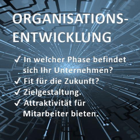 Shift-To-Chances, Organisationsentwicklung