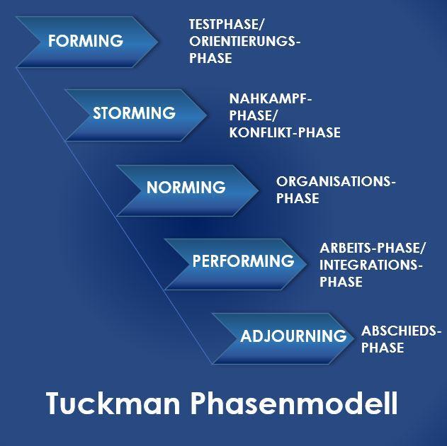 Der Neue im Team - Tuckman Phasenmodell