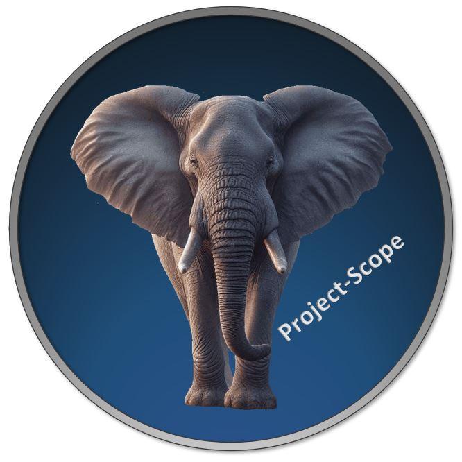 Der platzende Projekt-Scope