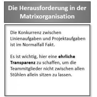Shift-To-Chances, Projektmanagement, Herausforderung der Matrixorganisation